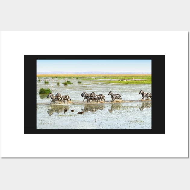 Zebras Crossing The Swamp Wall Art by Carole-Anne